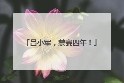 吕小军，禁赛四年！