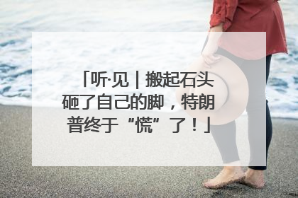 听·见｜搬起石头砸了自己的脚，特朗普终于“慌”了！