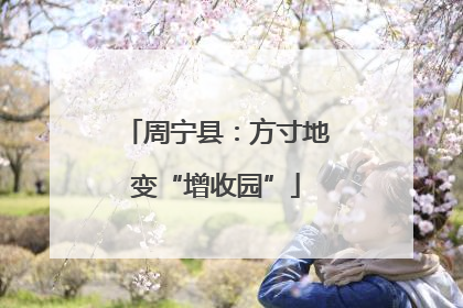 周宁县：方寸地变“增收园”