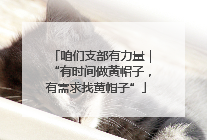 咱们支部有力量｜“有时间做黄帽子，有需求找黄帽子”
