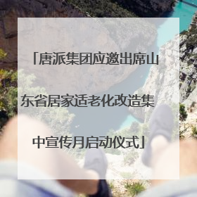 唐派集团应邀出席山东省居家适老化改造集中宣传月启动仪式