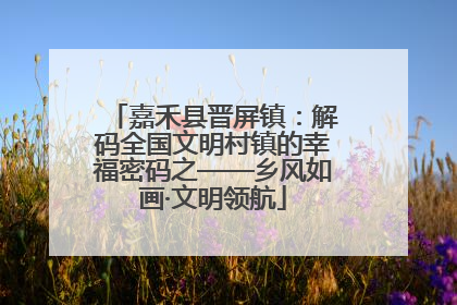 嘉禾县晋屏镇：解码全国文明村镇的幸福密码之——乡风如画·文明领航