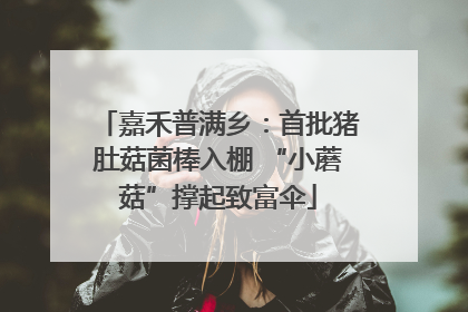 嘉禾普满乡：首批猪肚菇菌棒入棚 “小蘑菇”撑起致富伞