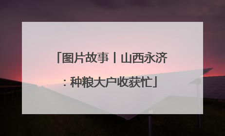 图片故事丨山西永济：种粮大户收获忙