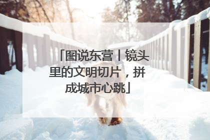 图说东营丨镜头里的文明切片，拼成城市心跳