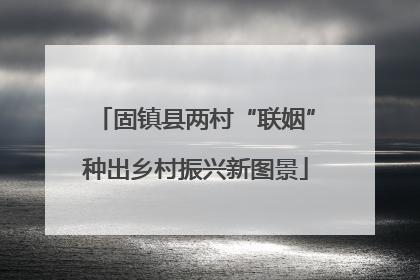 固镇县两村“联姻”种出乡村振兴新图景