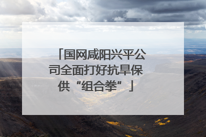 国网咸阳兴平公司全面打好抗旱保供“组合拳”