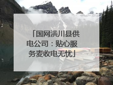 国网潢川县供电公司：贴心服务麦收电无忧