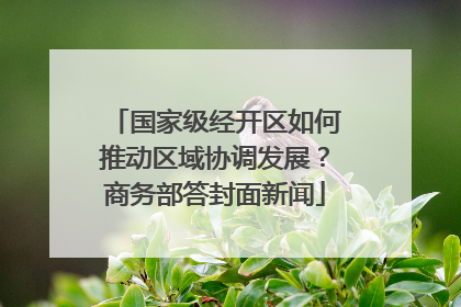 国家级经开区如何推动区域协调发展？商务部答封面新闻