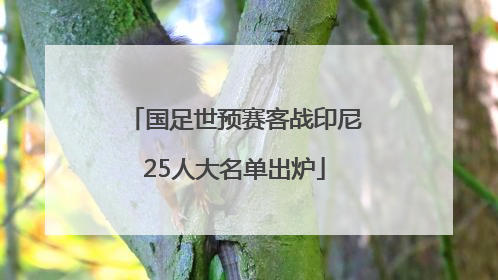 国足世预赛客战印尼25人大名单出炉