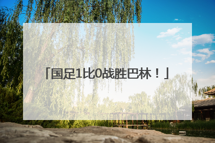 国足1比0战胜巴林！