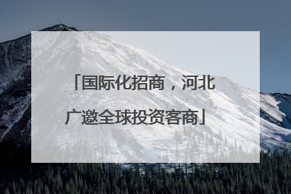 国际化招商，河北广邀全球投资客商