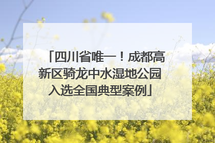 四川省唯一！成都高新区骑龙中水湿地公园入选全国典型案例