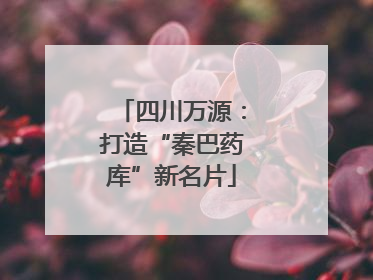 四川万源：打造“秦巴药库”新名片