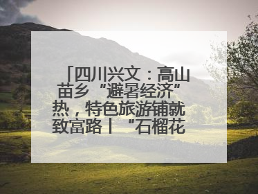 四川兴文：高山苗乡“避暑经济”热，特色旅游铺就致富路丨“石榴花开”四川行⑧