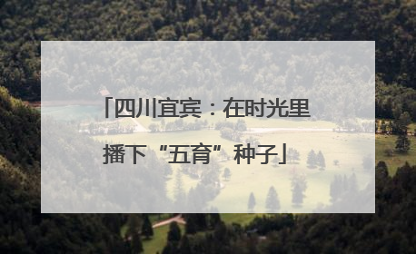 四川宜宾：在时光里播下“五育”种子