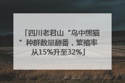 四川老君山“鸟中熊猫”种群数量翻番，繁殖率从15%升至32%