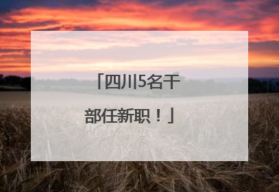 四川5名干部任新职！