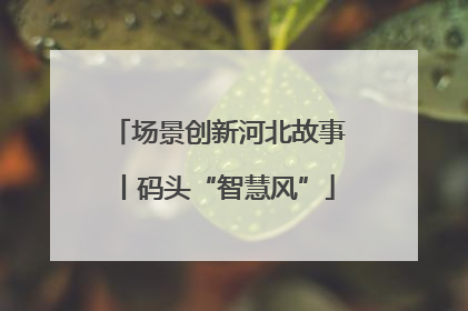 场景创新河北故事丨码头“智慧风”
