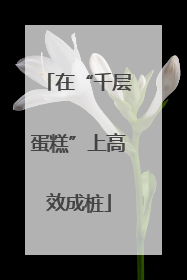 在“千层蛋糕”上高效成桩