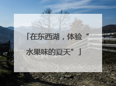 在东西湖，体验“水果味的夏天”