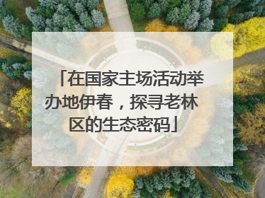 在国家主场活动举办地伊春，探寻老林区的生态密码