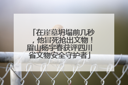 在崖墓坍塌前几秒，他冒死抢出文物！眉山杨宇春获评四川省文物安全守护者