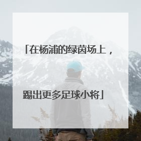 在杨浦的绿茵场上，踢出更多足球小将