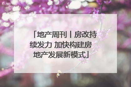 地产周刊丨房改持续发力 加快构建房地产发展新模式