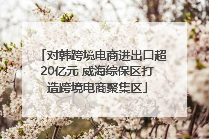 对韩跨境电商进出口超20亿元 威海综保区打造跨境电商聚集区