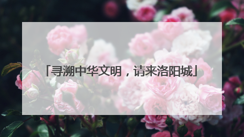 寻溯中华文明，请来洛阳城