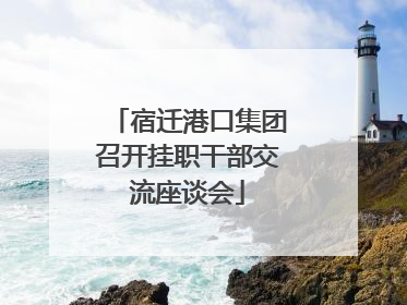 宿迁港口集团召开挂职干部交流座谈会