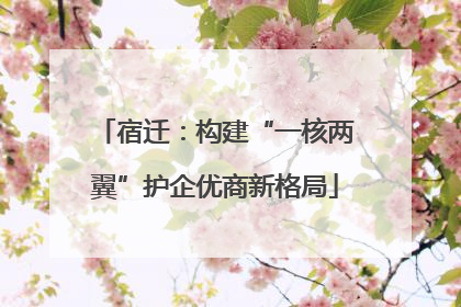 宿迁：构建“一核两翼”护企优商新格局