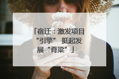 宿迁：激发项目“引擎” 挺起发展“脊梁”