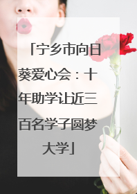 宁乡市向日葵爱心会：十年助学让近三百名学子圆梦大学