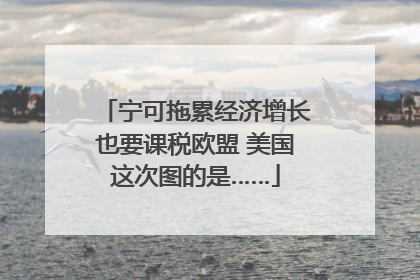 宁可拖累经济增长也要课税欧盟 美国这次图的是……