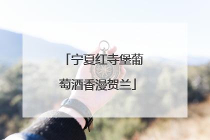 宁夏红寺堡葡萄酒香漫贺兰