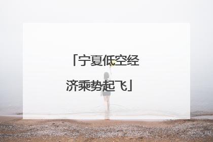 宁夏低空经济乘势起飞
