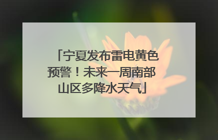 宁夏发布雷电黄色预警！未来一周南部山区多降水天气
