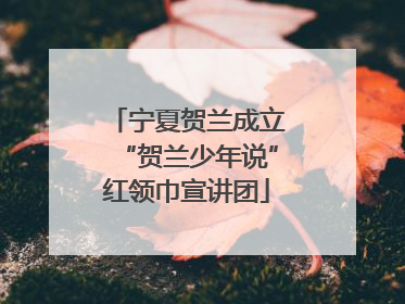 宁夏贺兰成立“贺兰少年说”红领巾宣讲团