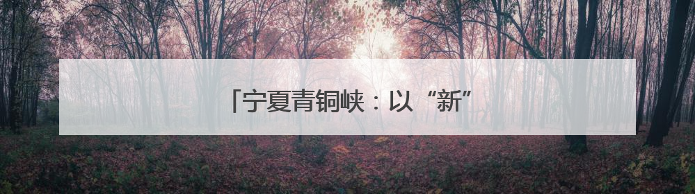 宁夏青铜峡：以“新”破题 向“绿”而行