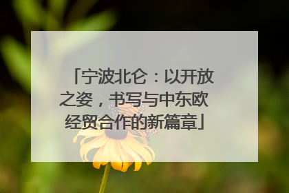 宁波北仑：以开放之姿，书写与中东欧经贸合作的新篇章