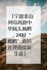 宁波韭山列岛再迎中华凤头燕鸥，24对“酷鸥”喜结连理迎接新生命