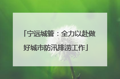 宁远城管：全力以赴做好城市防汛排涝工作