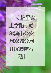 守护平安上学路，哈尔滨市公安局双城分局开展夏防行动