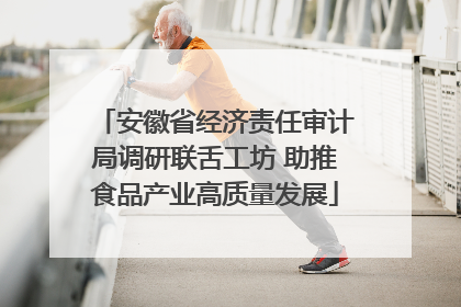 安徽省经济责任审计局调研联舌工坊 助推食品产业高质量发展