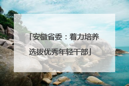 安徽省委：着力培养选拔优秀年轻干部