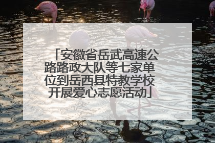 安徽省岳武高速公路路政大队等七家单位到岳西县特教学校开展爱心志愿活动