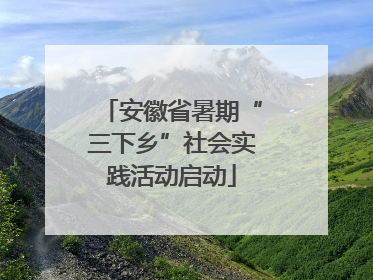 安徽省暑期“三下乡”社会实践活动启动