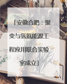 安徽合肥：聚变与氢氨能源工程应用联合实验室成立